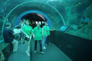 dlf sea-2080